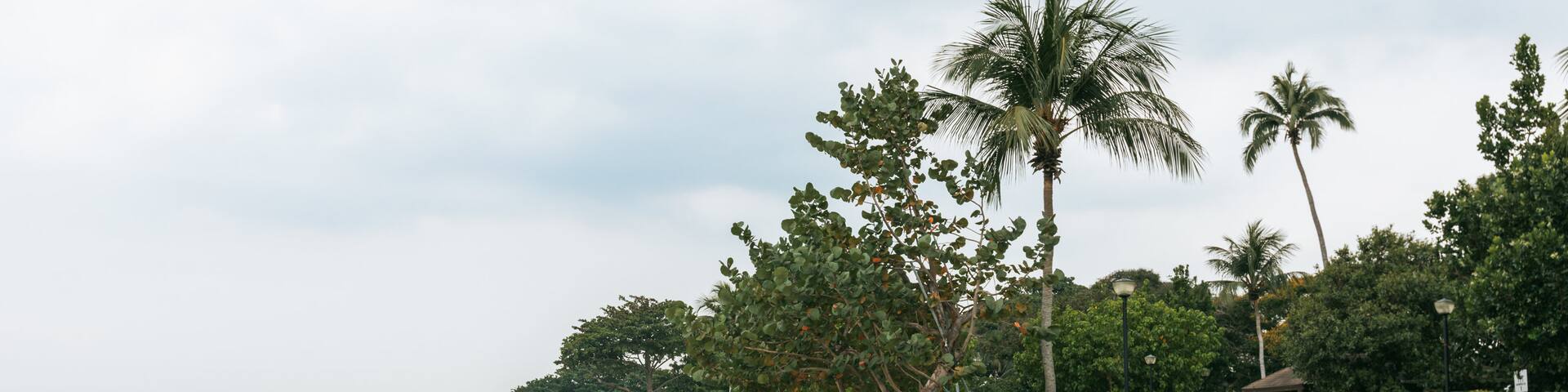 Changi Beach Park showing a garden, a sandy beach and general coastal views