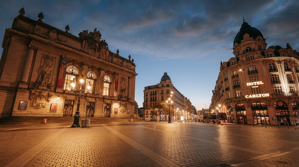 Opera House showing heritage architecture, night scenes and a city