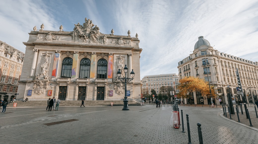 Opera House featuring street scenes, heritage architecture and a city