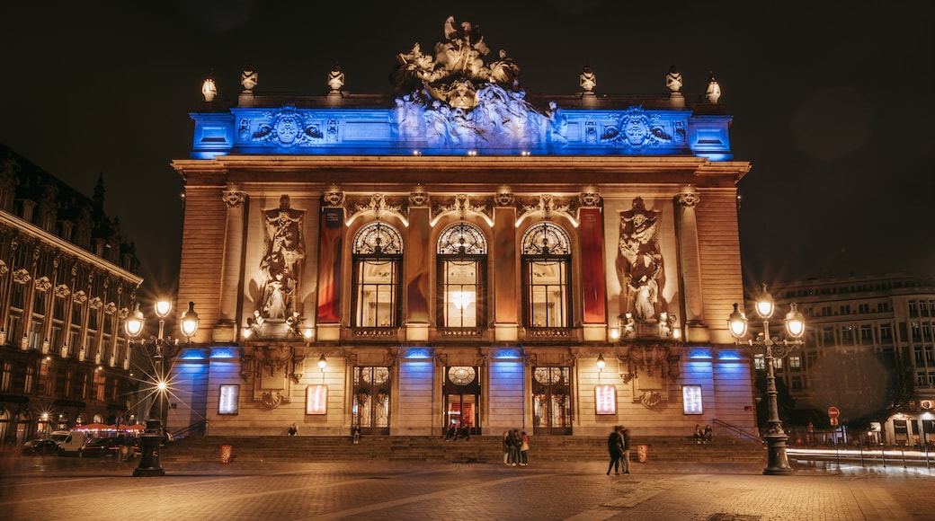 Opera House which includes heritage architecture and night scenes