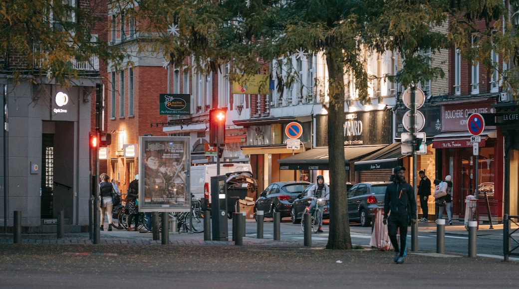 Quartier Vauban et Wazemmes