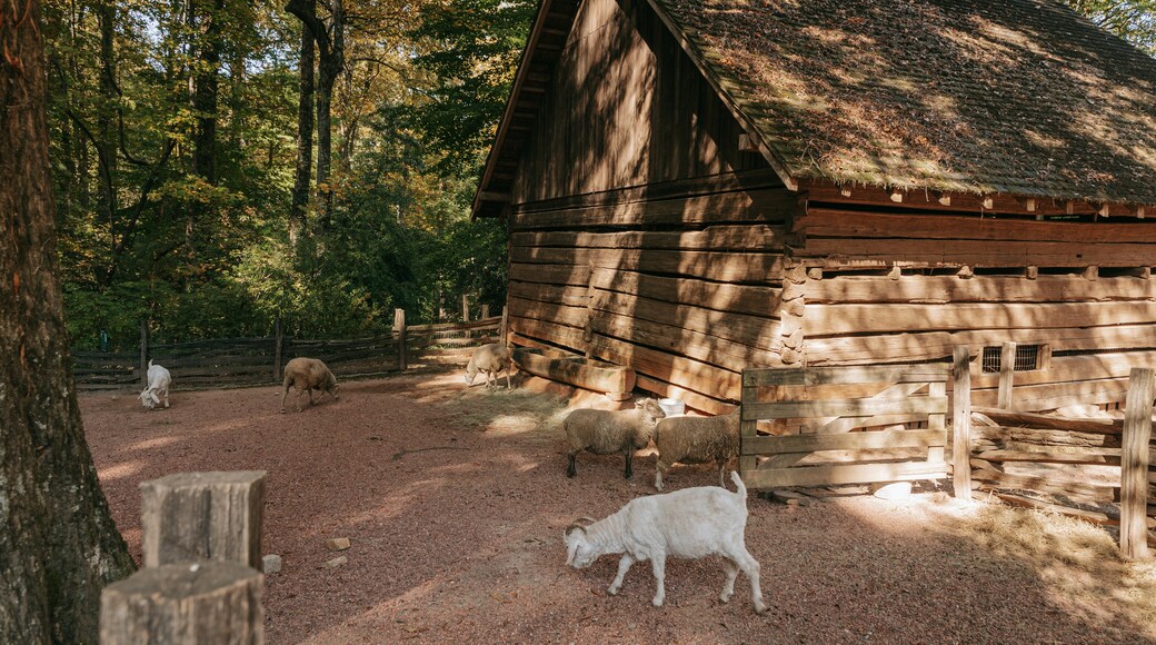 Atlanta History Center featuring land animals and farmland