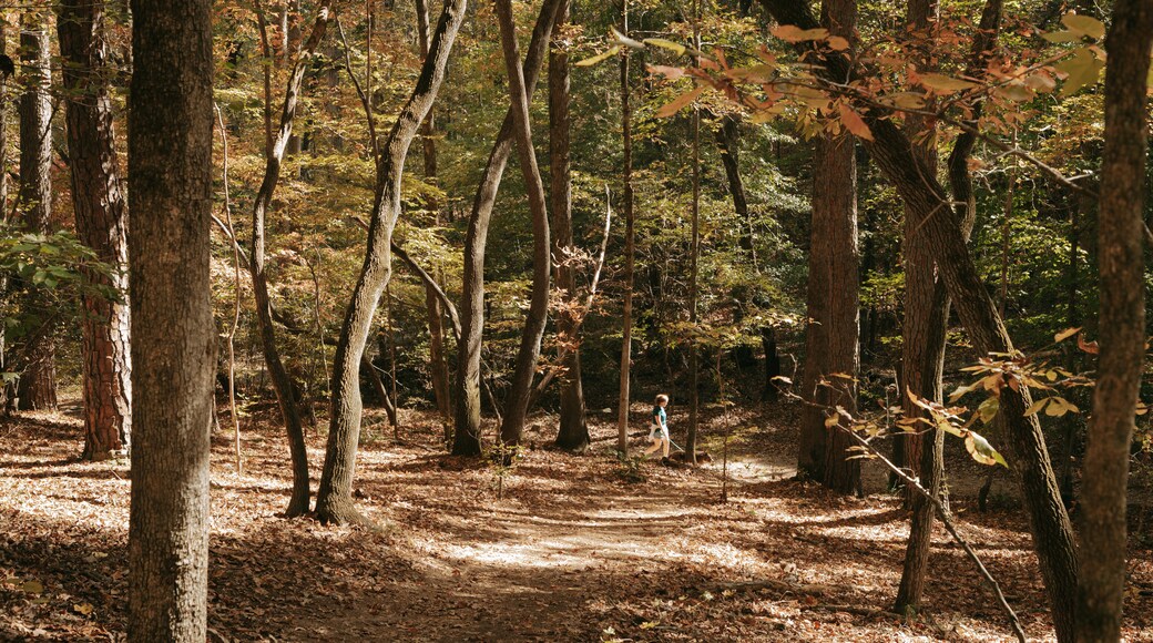 Sweetwater Creek State Park