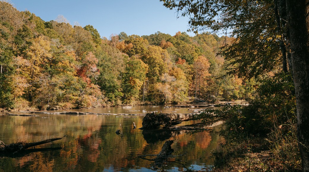Sweetwater Creek State Park