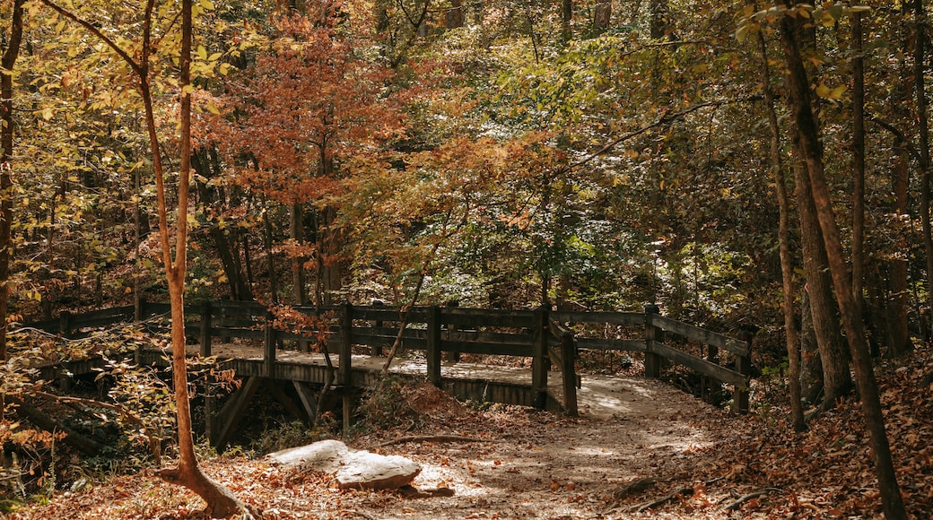 Sweetwater Creek State Park