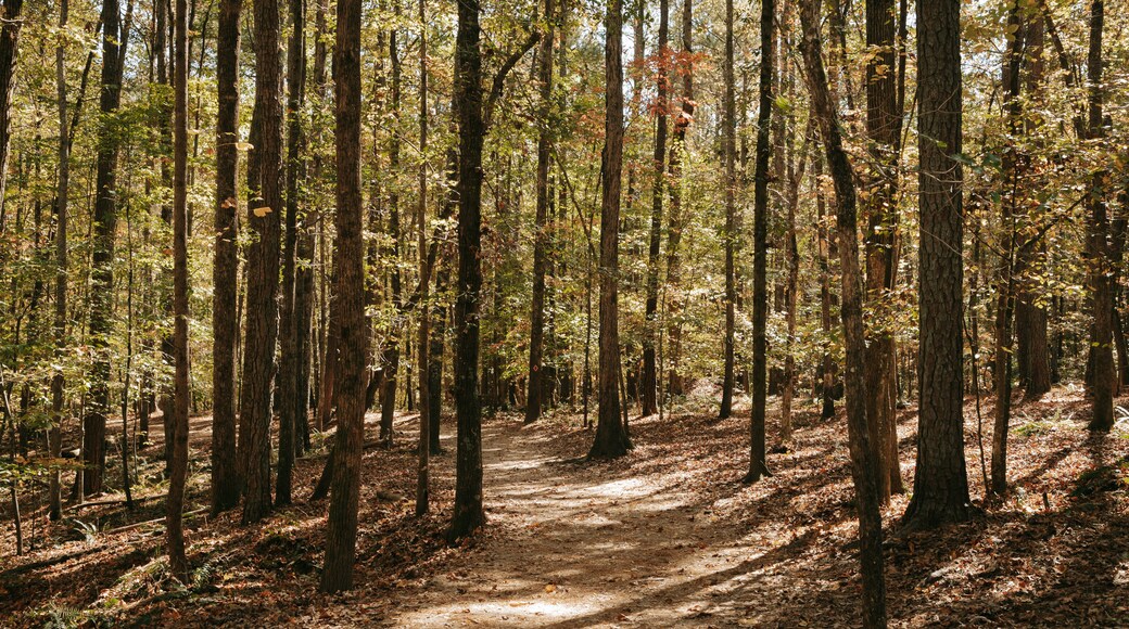 Lithia Springs