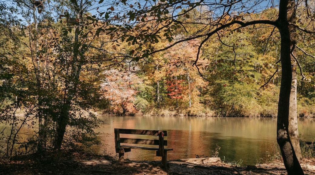 Lithia Springs