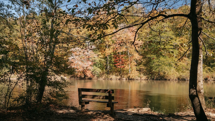 Sweetwater Creek State Park