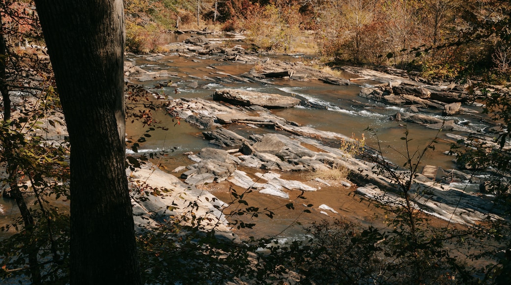 Lithia Springs