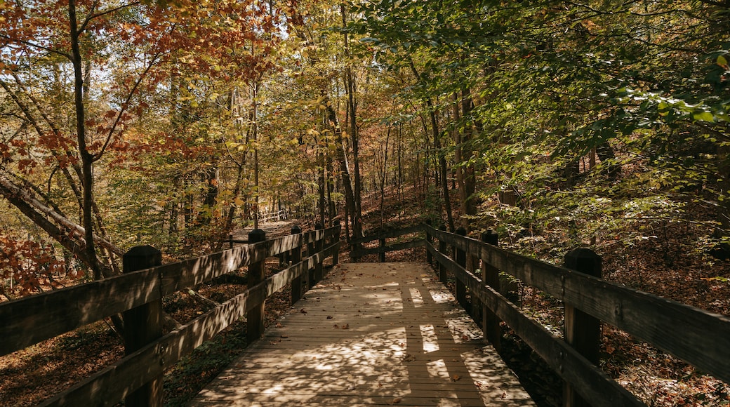 Lithia Springs