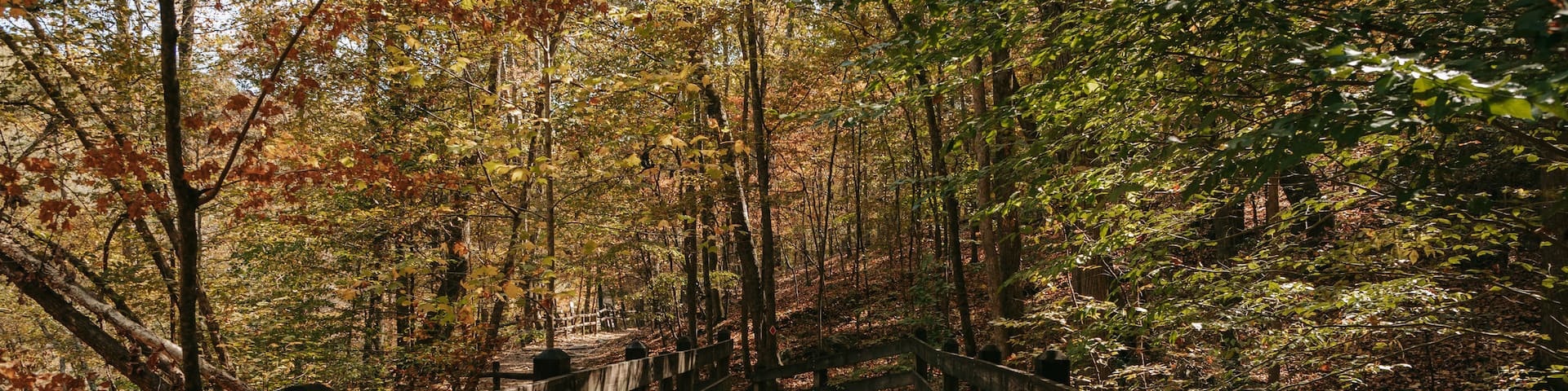 Sweetwater Creek State Park featuring autumn leaves, a park and forest scenes