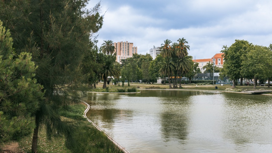 Campo Grande showing a pond