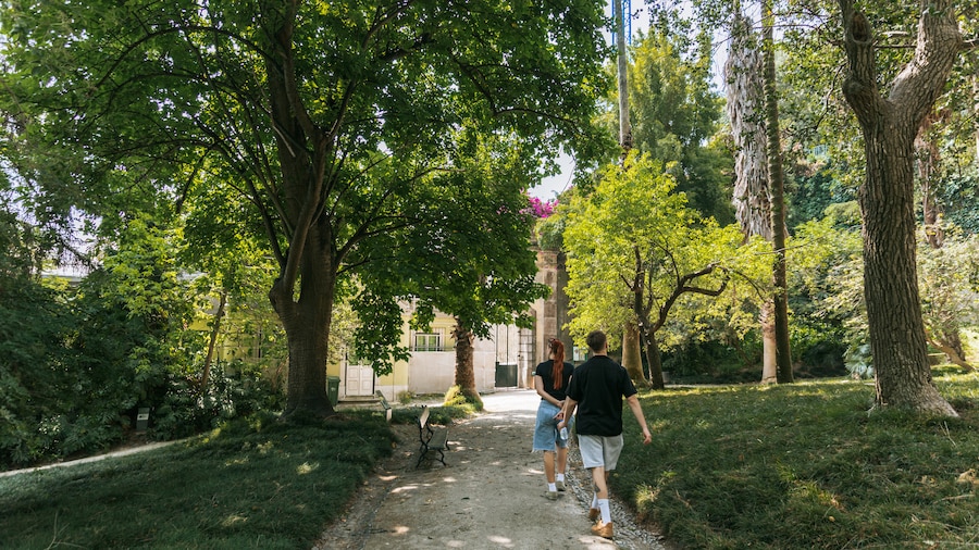 Jardim BotĂąnico Tropical