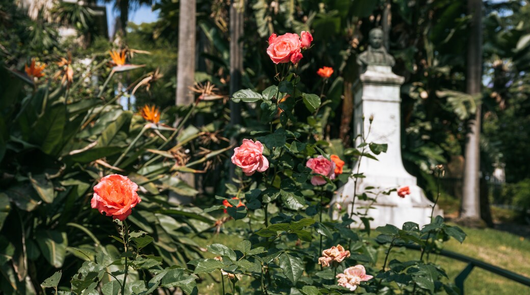 Jardim Botânico Tropical