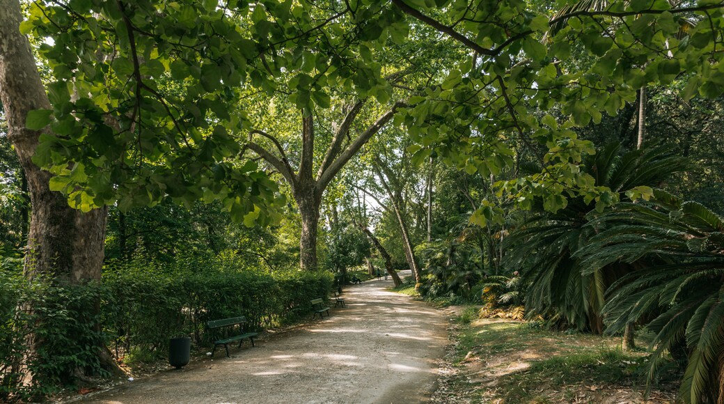 Jardim Botânico Tropical