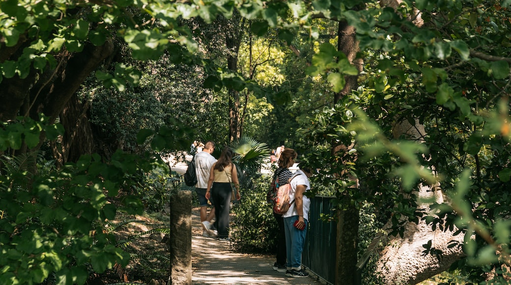 Jardim Botânico Tropical