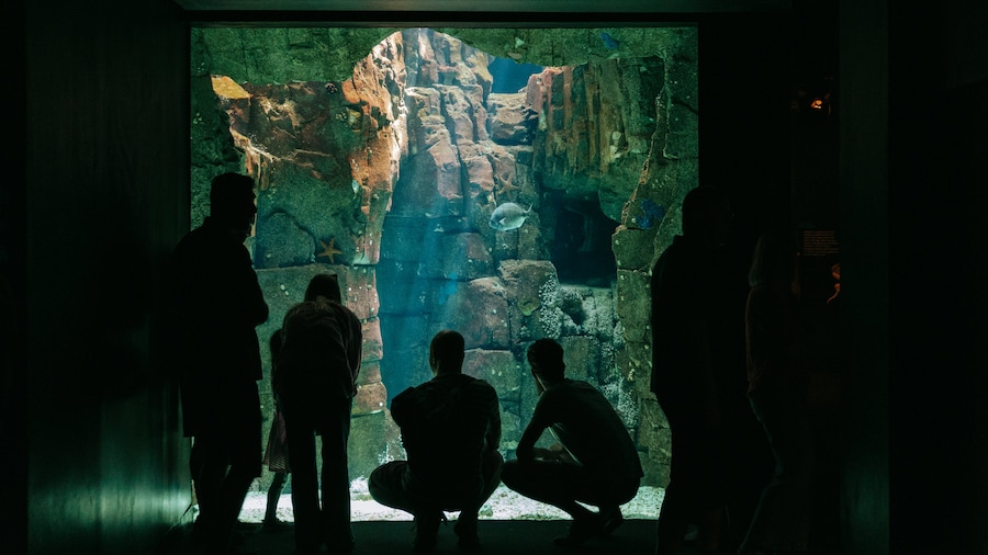 Lisbon Oceanarium