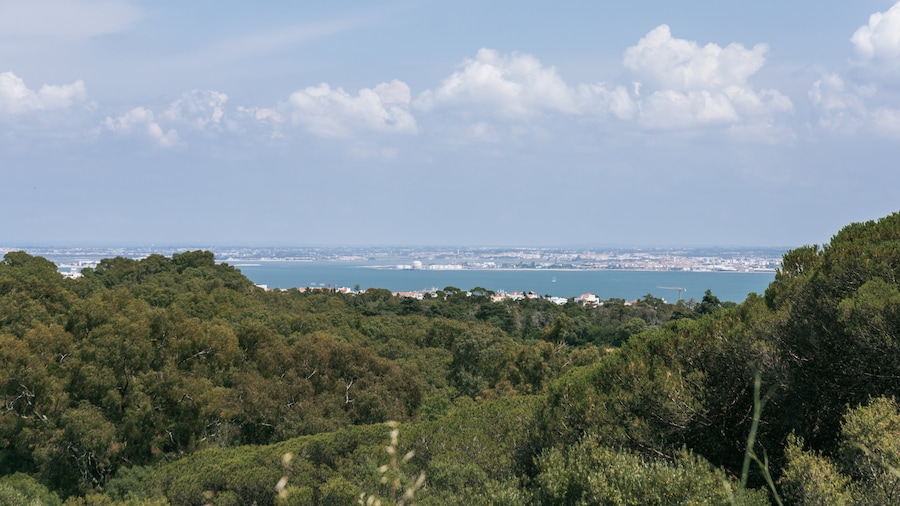 Monsanto Forest Park