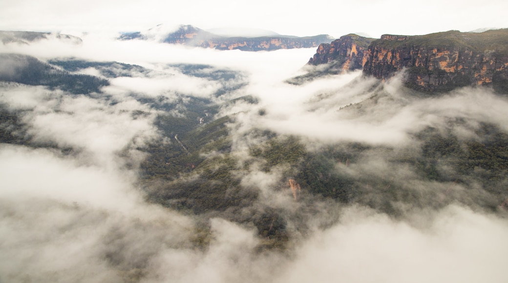 Evans Lookout