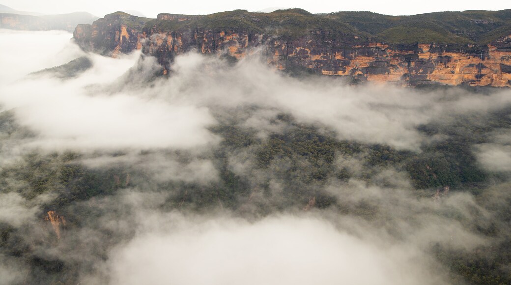 Evans Lookout