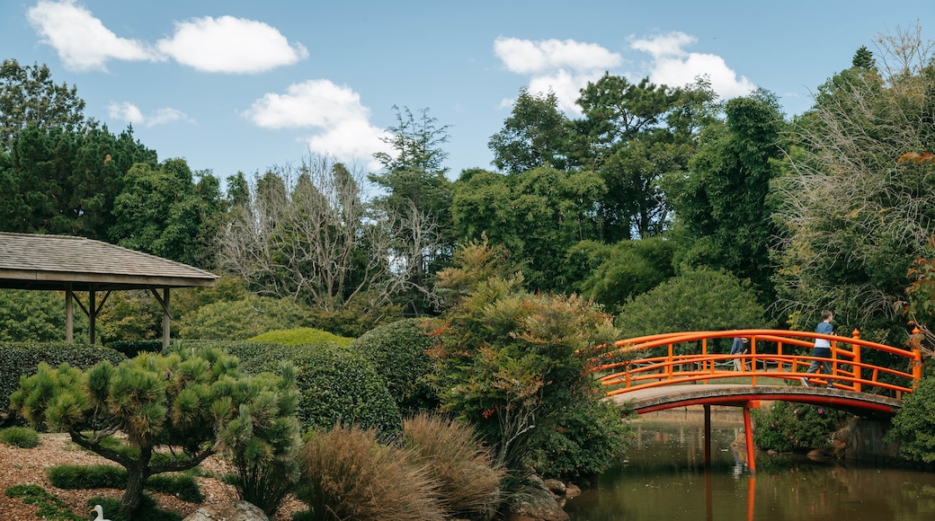 Japanese Gardens