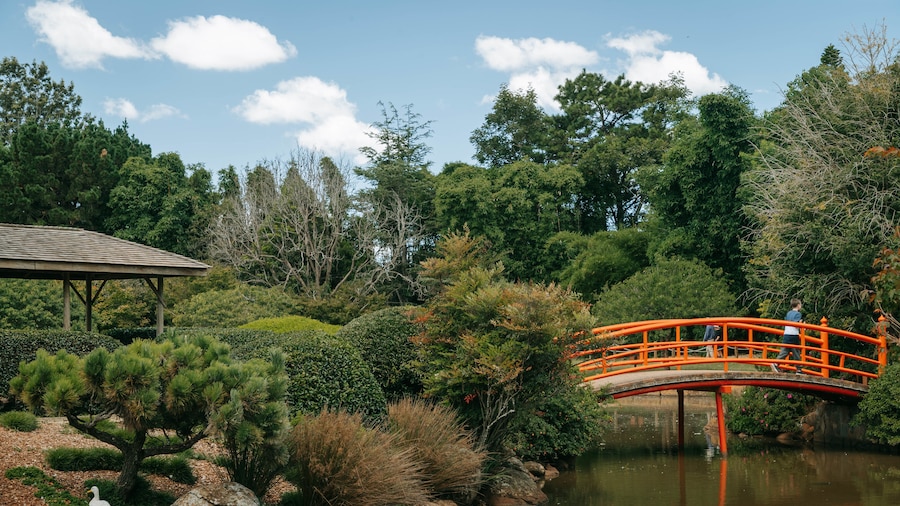 Japanese Gardens