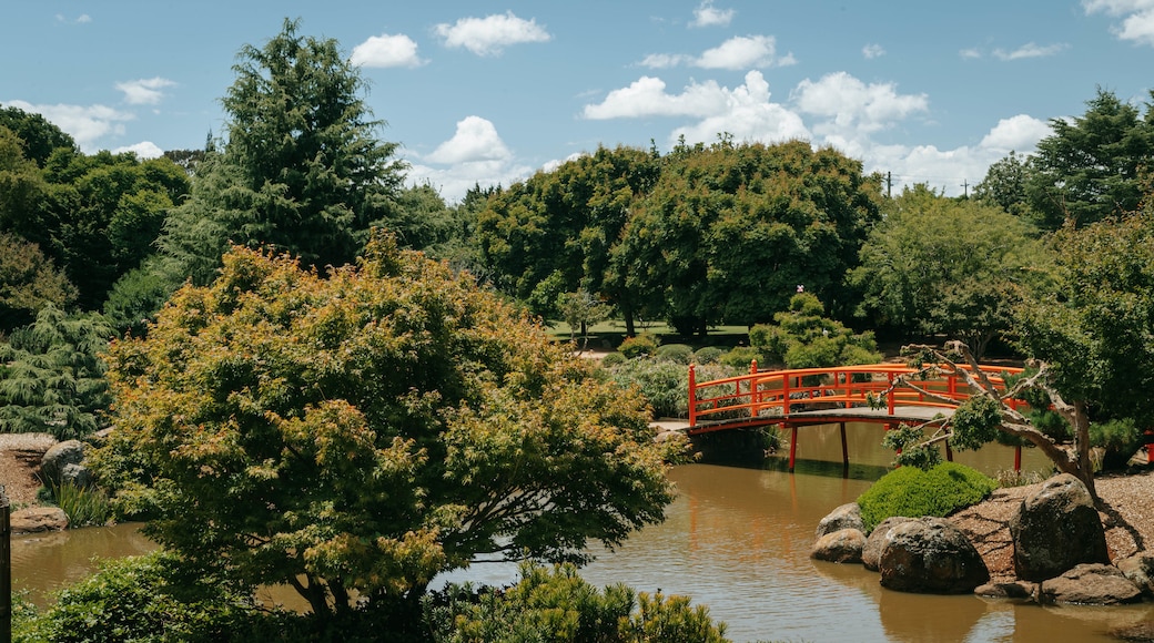 Japanese Gardens