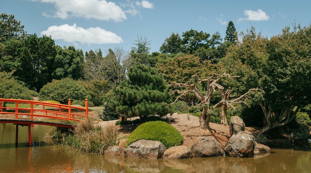 Japanese Gardens