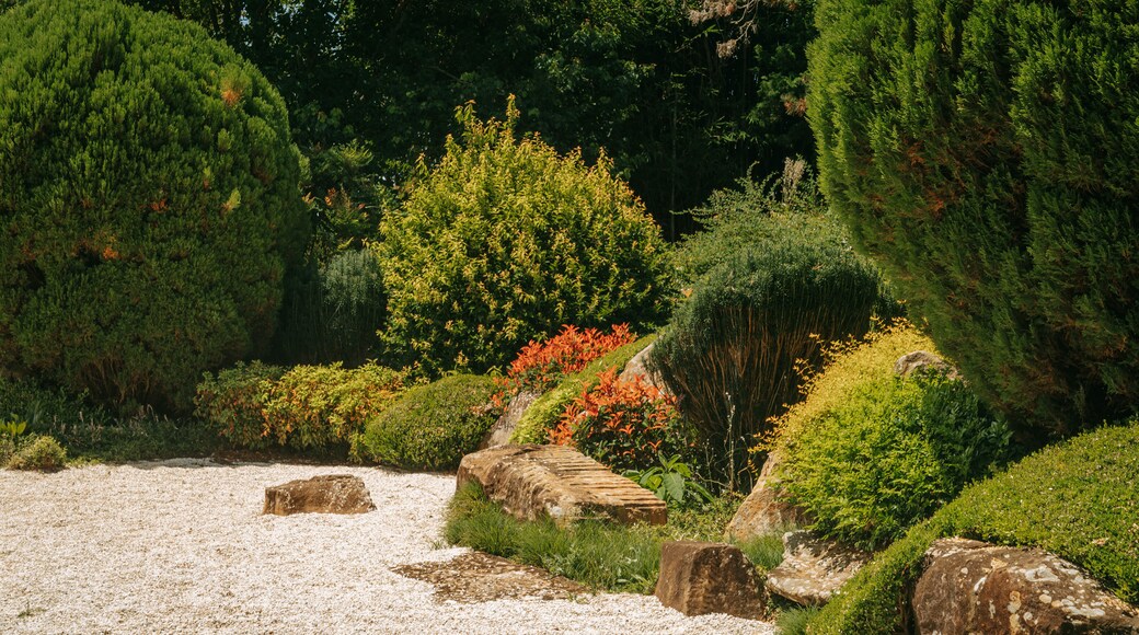 Japanese Gardens