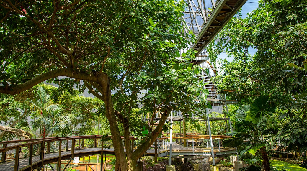 Wildlife Habitat