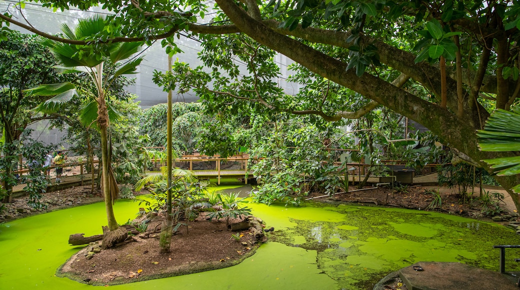 Wildlife Habitat