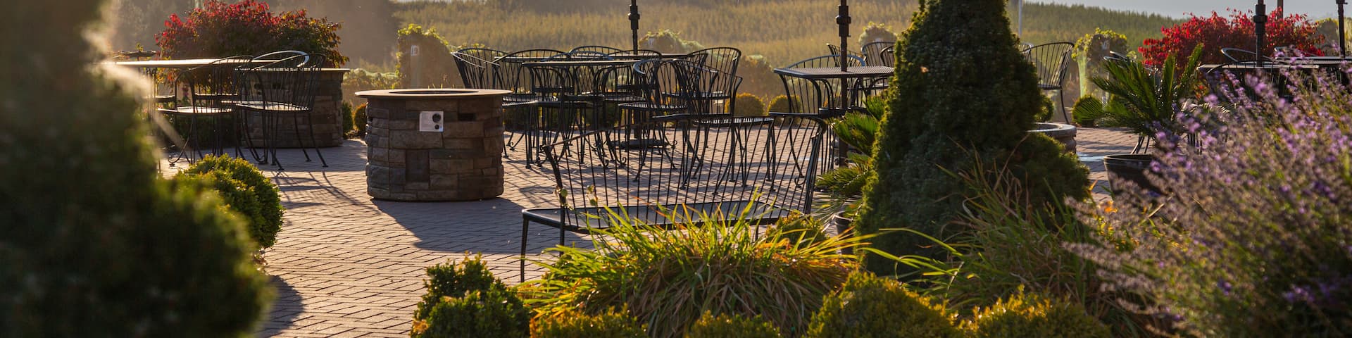 Benson Vineyards Estate Winery showing a sunset and a park