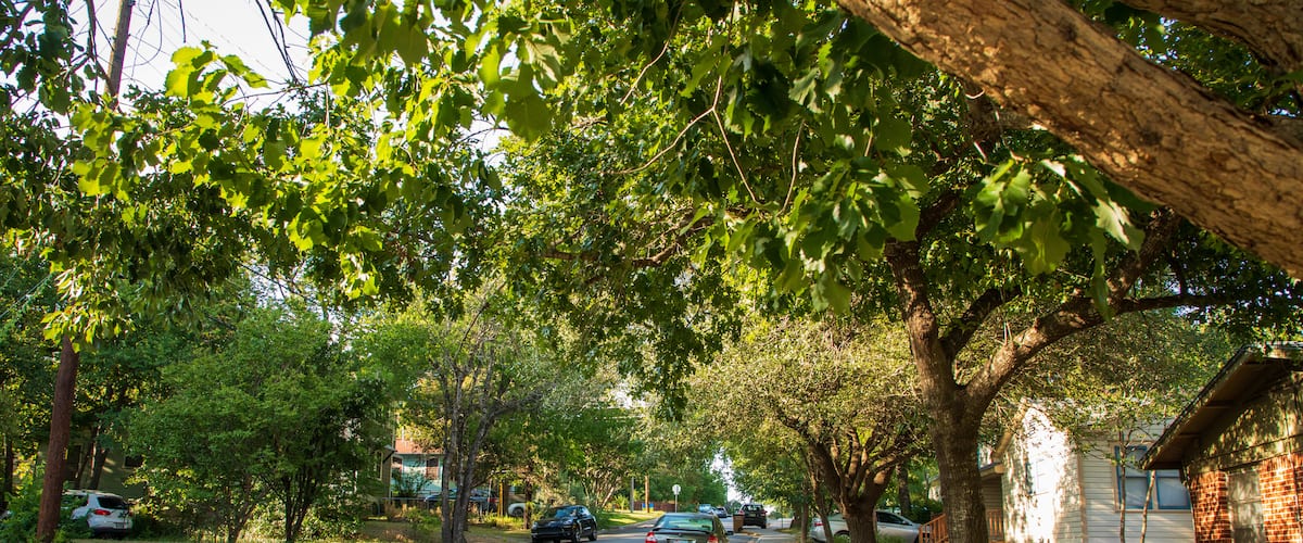 Cherrywood showing a small town or village and a house