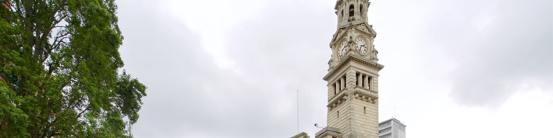 Auckland Town Hall showing heritage architecture and an administrative buidling