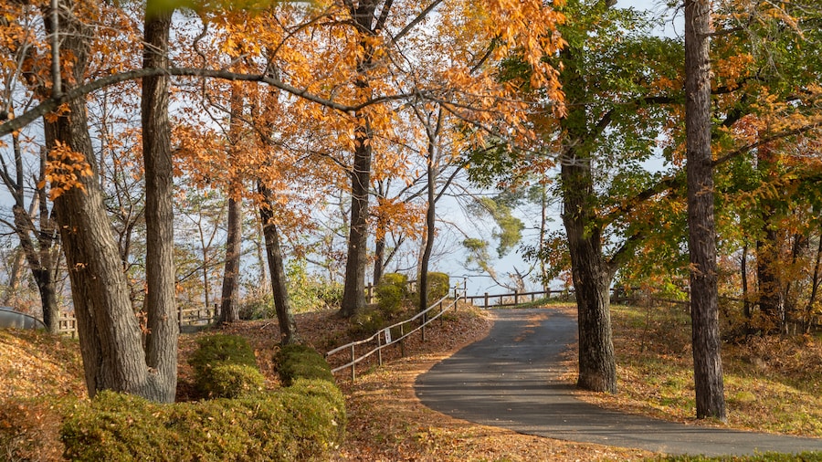 Alps Park Matsumoto