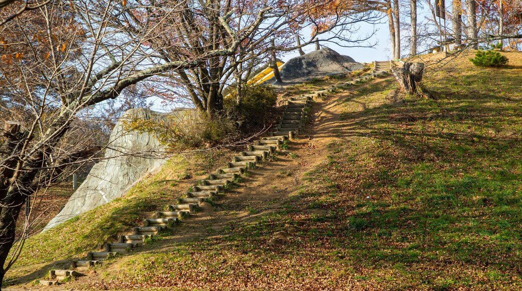 Parc national des Alpes japonaises