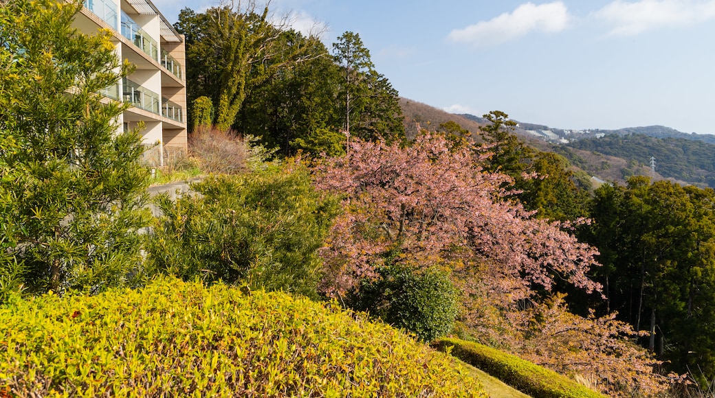 Atami Golf Club showing tranquil scenes