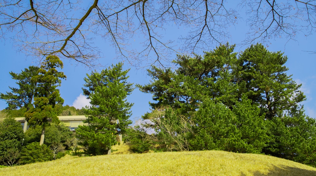 Atami Golf Club showing a garden