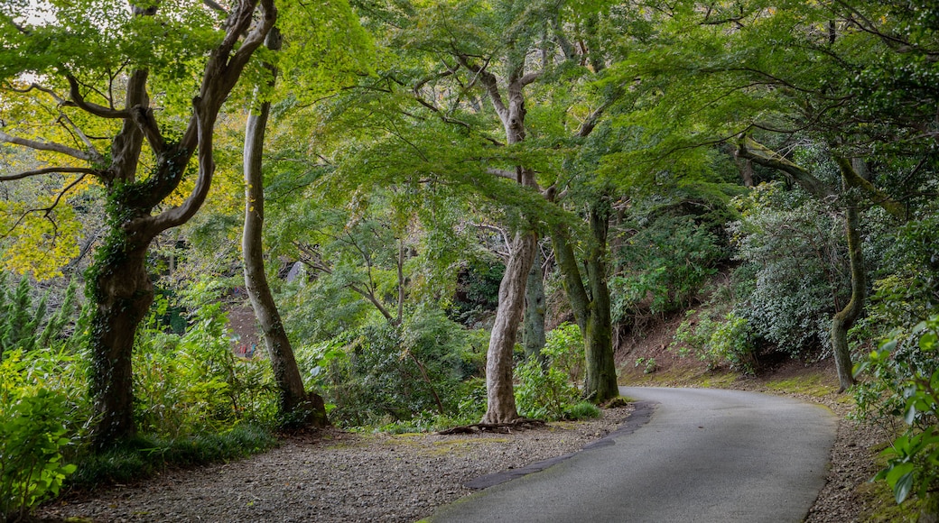 長慶寺