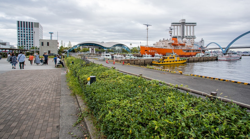 Fuji, the Floating Antarctic Museum which includes a marina