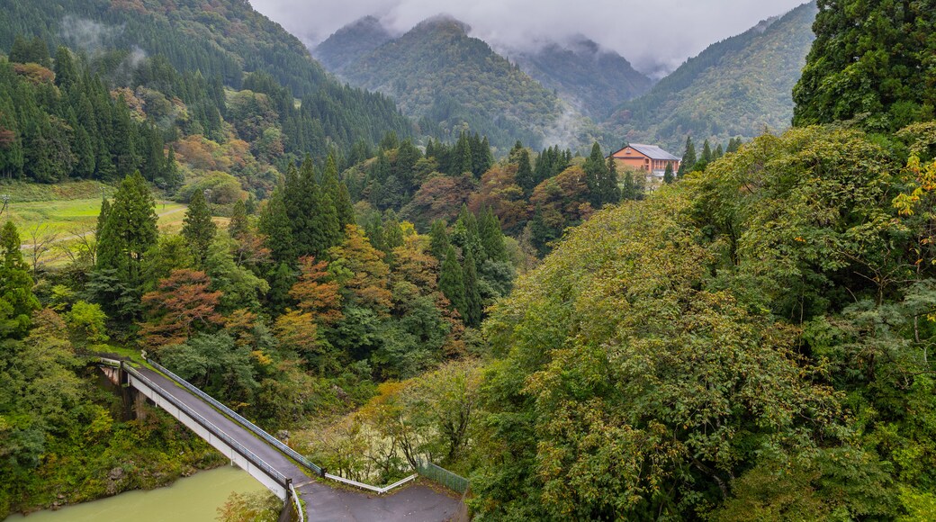 Gokayama featuring landscape views and tranquil scenes