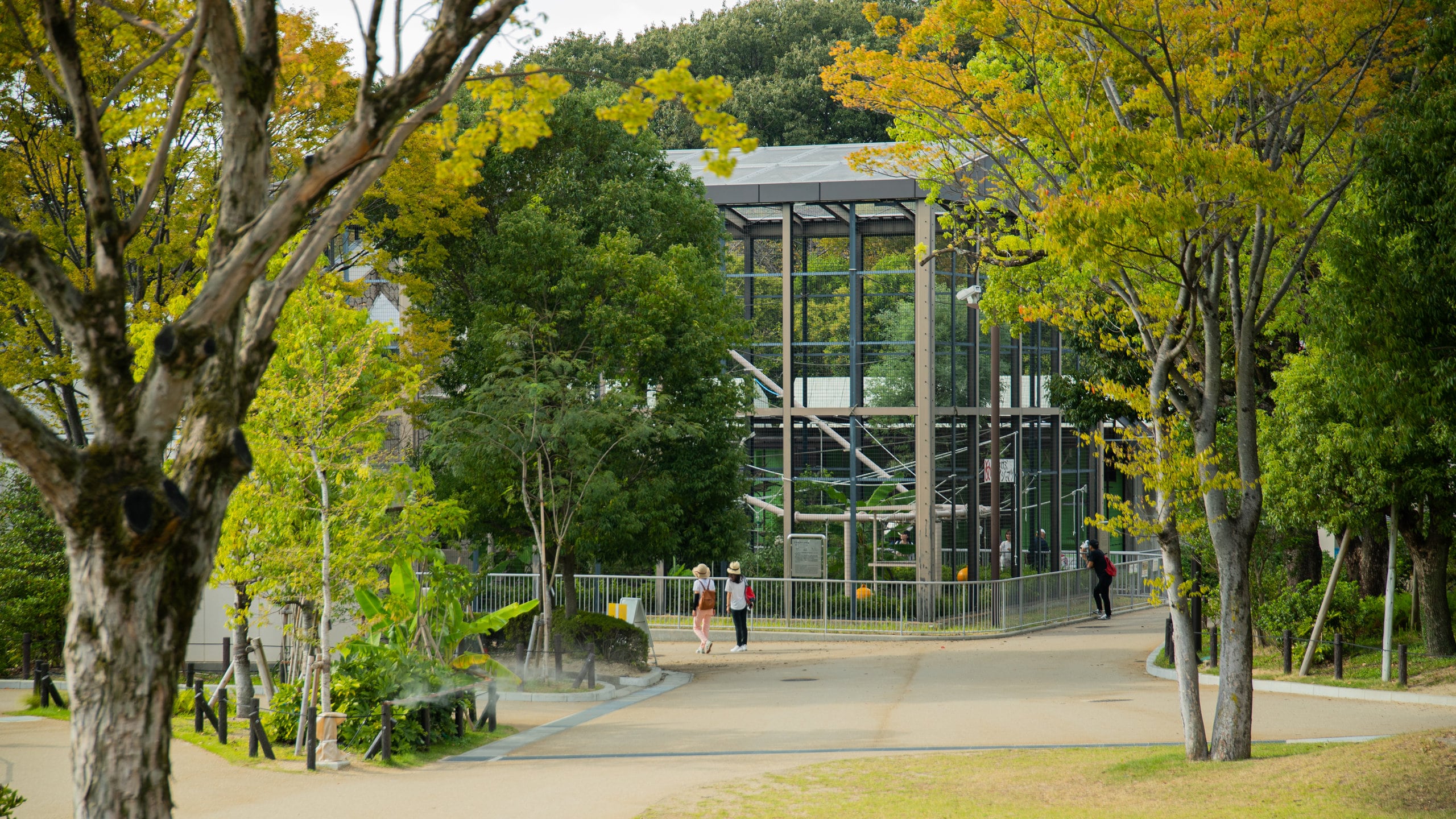 東山動物園 東山動物園 (千種区) - ツアーとアクティビティ | エクスペディア