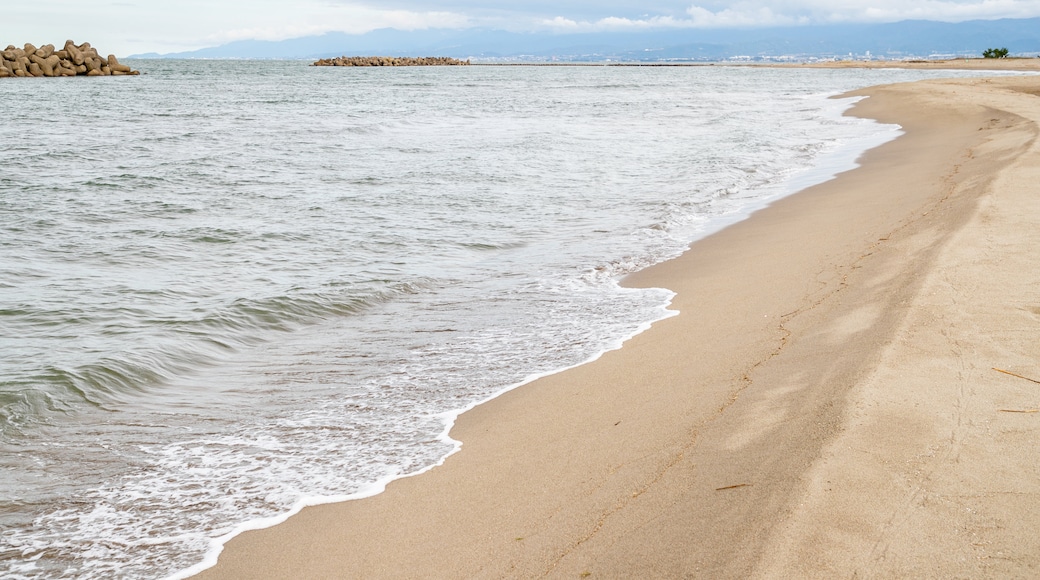 Iwase Beach showing general coastal views and a sandy beach