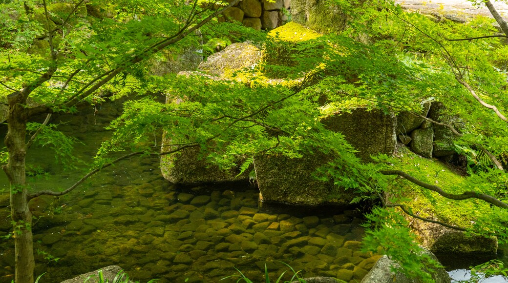 德川园