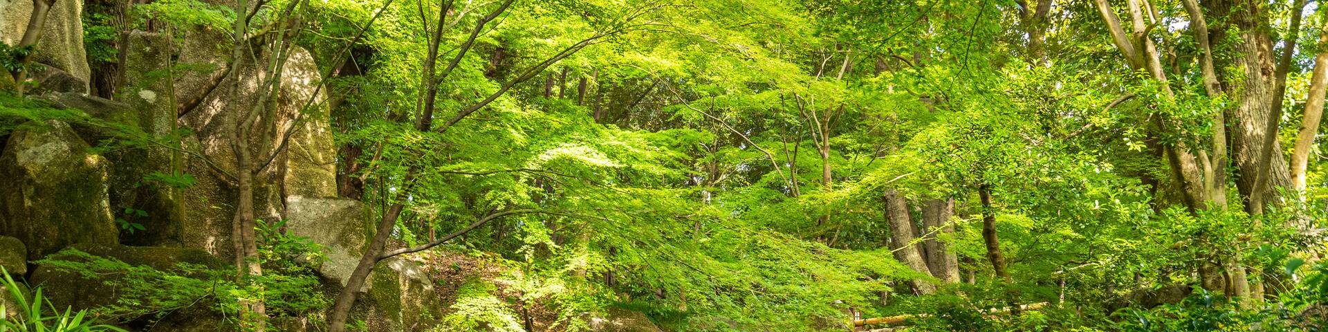 Tokugawa Garden