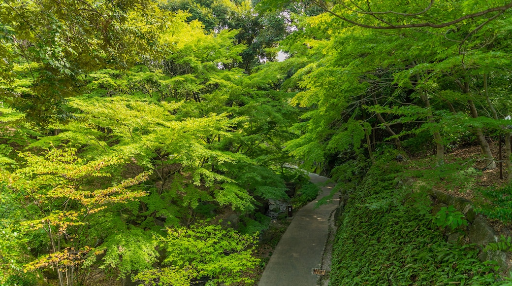 德川园