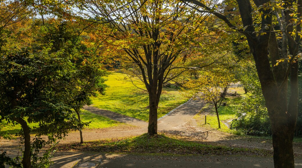 Toyama Family Park