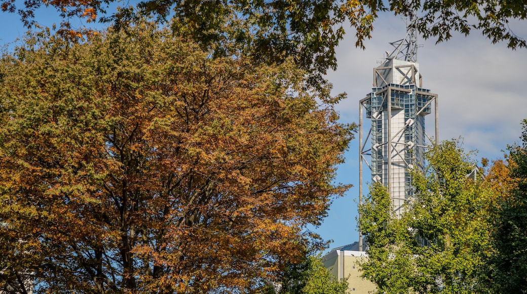 Toyama City Hall Observation Tower