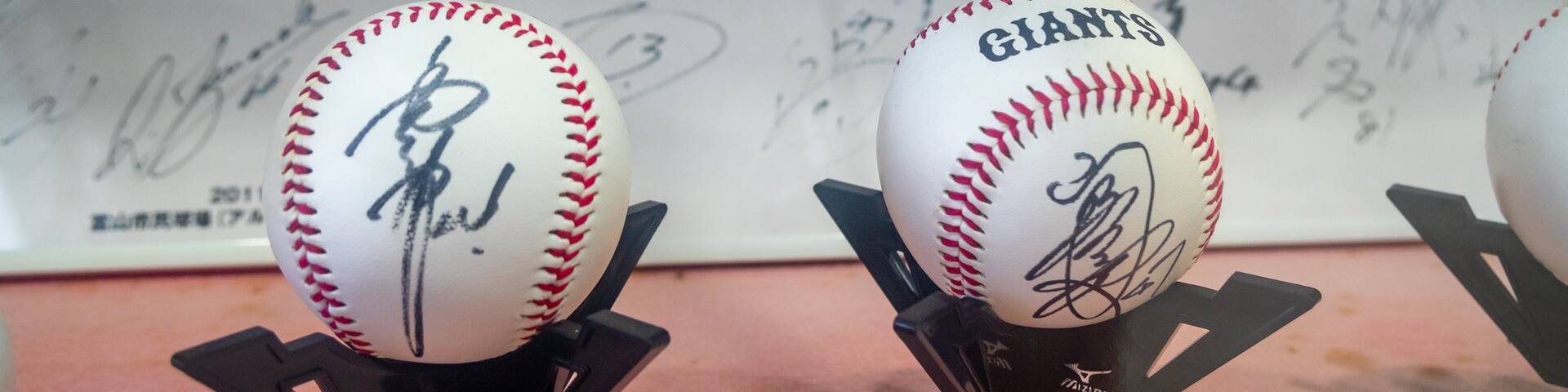 Toyama Municipal Baseball Stadium Alpen Stadium