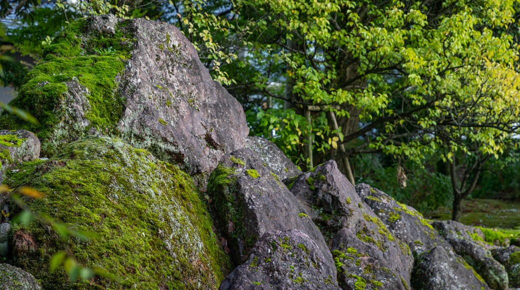 Tempio shintoista Toyama Gokoku